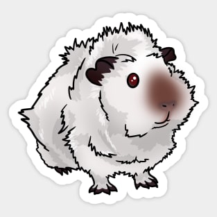 Himalayan Abyssinian Guinea Pig Sticker